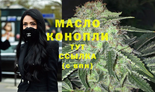 молекула духа Кулебаки
