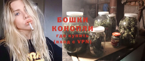 молекула духа Кулебаки