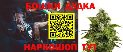 мдпв Гусь-Хрустальный