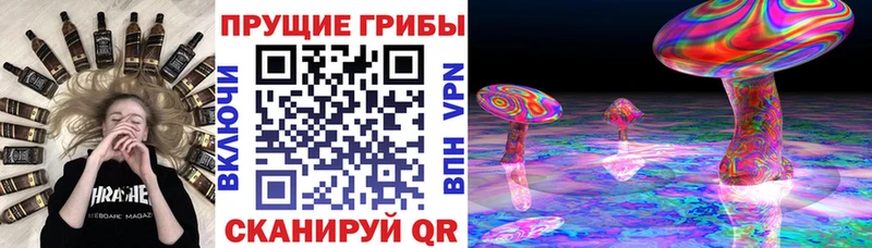цена   Жуковский  Псилоцибиновые грибы мухоморы 