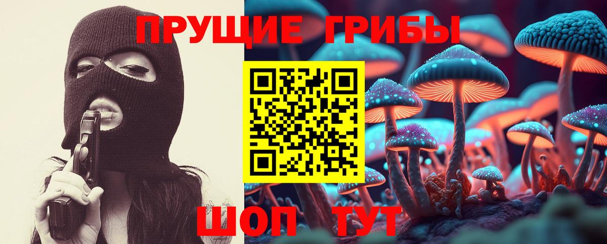 где купить   Галлюциногенные грибы MAGIC MUSHROOMS  Вход с VPN  Жуковский 